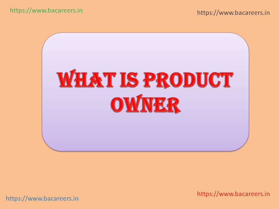 What is Product Owner