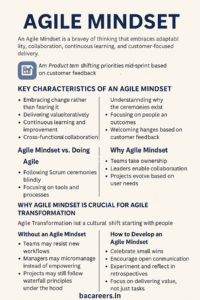 Agile Mindset
